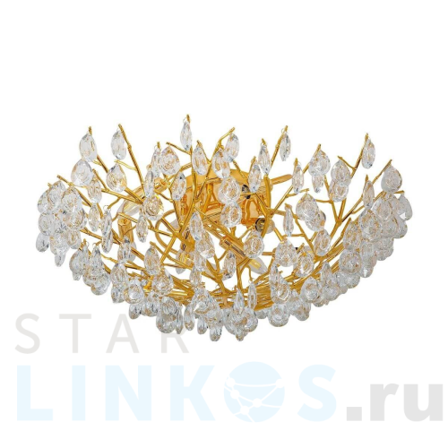 Купить Потолочная люстра Favourite Pluvia 4162-10C за 69 900 руб. в Туле Купить с доставкой Потолочная люстра Favourite Pluvia 4162-10C в Туле