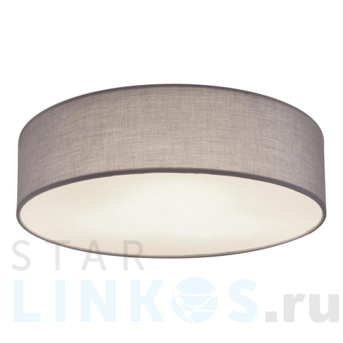 Купить Потолочный светильник Globo Sanna 15585D за 13 840 руб. в Туле Купить с доставкой Потолочный светильник Globo Sanna 15585D в Туле