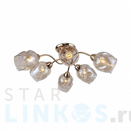 Купить Потолочная люстра F-Promo Bento 2190-6U за 9 400 руб. в Туле фото 2 Купить с доставкой Потолочная люстра F-Promo Bento 2190-6U в Туле фото 2