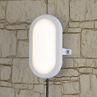 Купить Пылевлагозащищенный светильник Elektrostandard LTB0102D LED 17 см 6W белый a036709 в Туле