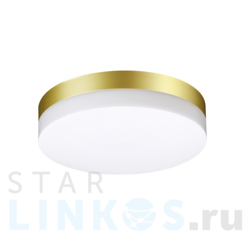 Купить Уличный светодиодный светильник Novotech Street Opal 358884 за 2 640 руб. в Туле Купить с доставкой Уличный светодиодный светильник Novotech Street Opal 358884 в Туле