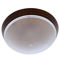 Купить Потолочный светильник Horoz Уфо Ерджиес 400-234-101 HRZ00001464 в Туле