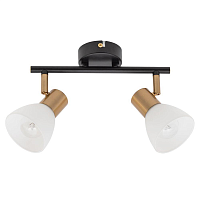 Купить Спот Arte Lamp Falena A3117PL-2BK в Туле