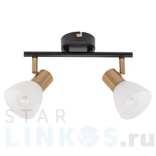 Купить Спот Arte Lamp Falena A3117PL-2BK за 2 390 руб. в Туле Купить с доставкой Спот Arte Lamp Falena A3117PL-2BK в Туле