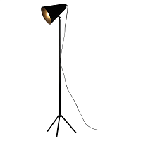 Купить Торшер Lussole Lgo Cozy GRLSP-0563 в Туле