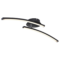 Купить Потолочный светодиодный светильник Globo Tansy I 67129-12 в Туле