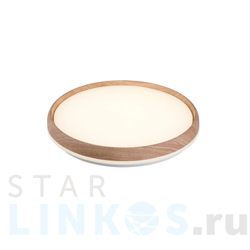 Купить Настенно-потолочный светильник Camelion LBS-7738 14532 за 5 545 руб. в Туле Купить с доставкой Настенно-потолочный светильник Camelion LBS-7738 14532 в Туле