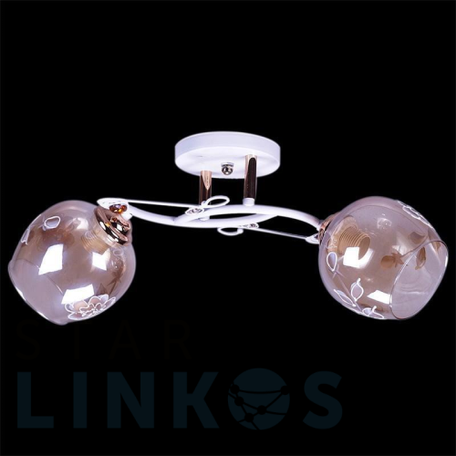 Купить Потолочный светильник Reluce 27120-0.3-02 за 1 780 руб. в Туле Купить с доставкой Потолочный светильник Reluce 27120-0.3-02 в Туле