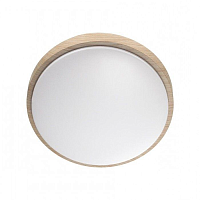 Купить Настенно-потолочный светодиодный светильник Sonex Losta 7607/EL в Туле