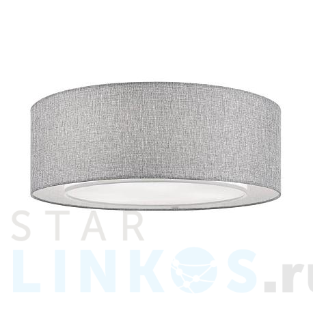 Купить Потолочный светильник Maytoni Bergamo MOD613CL-04GR за 15 690 руб. в Туле фото 2 Купить с доставкой Потолочный светильник Maytoni Bergamo MOD613CL-04GR в Туле фото 2