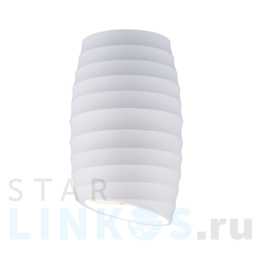 Купить с доставкой Потолочный светильник Elektrostandard DLN105 GU10 белый a047726 в Туле