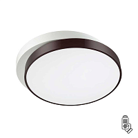 Купить Потолочный светодиодный светильник Lumion Ledio Agatha 4509/72CL в Туле