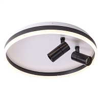 Купить Потолочная светодиодная люстра Zortes Raizy ZRS.1888.01 в Туле