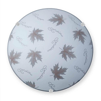 Купить Настенно-потолочный светильник Vitaluce V6283/1A в Туле