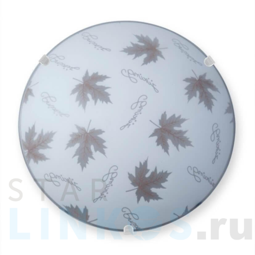 Купить Настенно-потолочный светильник Vitaluce V6283/1A за 785 руб. в Туле Купить с доставкой Настенно-потолочный светильник Vitaluce V6283/1A в Туле