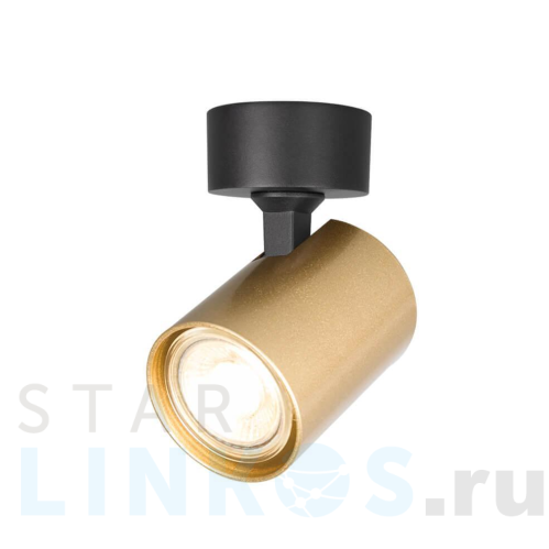 Купить с доставкой Спот Crystal Lux CLT 017CW1R BL-GO в Туле