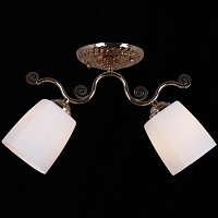 Купить Потолочный светильник Reluce 31409-0.3-02 в Туле