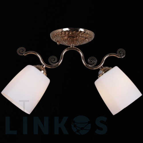 Купить Потолочный светильник Reluce 31409-0.3-02 за 1 780 руб. в Туле Купить с доставкой Потолочный светильник Reluce 31409-0.3-02 в Туле