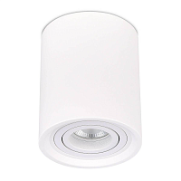 Купить Потолочный светильник ST Luce ST156.502.01 в Туле