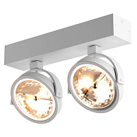 Купить Спот Zumaline Go sl 2 89964-G9 в Туле