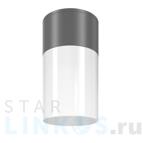 Купить с доставкой Уличный светильник Maytoni Willis O418CL-01GR в Туле