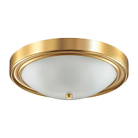 Купить Настенно-потолочный светильник Lumion Vintage Nina 5259/3C в Туле