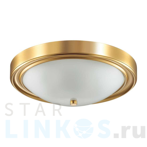 Купить Настенно-потолочный светильник Lumion Vintage Nina 5259/3C за 5 500 руб. в Туле Купить с доставкой Настенно-потолочный светильник Lumion Vintage Nina 5259/3C в Туле