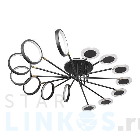 Купить Потолочная светодиодная люстра Loft IT Megan 10164L Black за 28 910 руб. в Туле фото 2 Купить с доставкой Потолочная светодиодная люстра Loft IT Megan 10164L Black в Туле фото 2