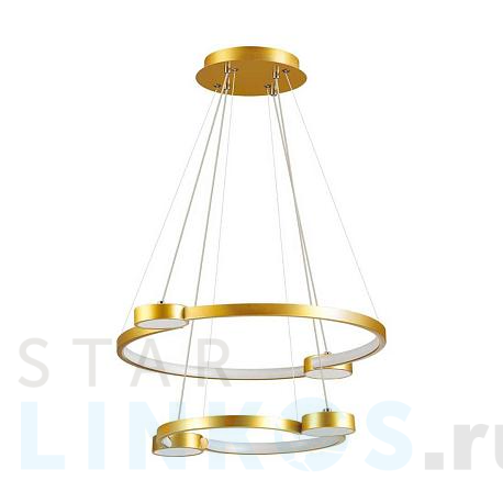 Купить Подвесная люстра Lumion Ledio Sheridan 5247/79L за 15 800 руб. в Туле фото 2 Купить с доставкой Подвесная люстра Lumion Ledio Sheridan 5247/79L в Туле фото 2