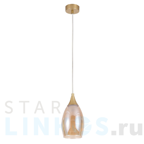 Купить Подвесной светильник Arte Lamp Barry A7951SP-1GO за 2 290 руб. в Туле Купить с доставкой Подвесной светильник Arte Lamp Barry A7951SP-1GO в Туле