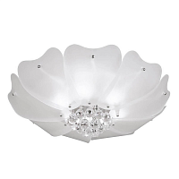 Купить Потолочный светильник Lightstar Lobo 804020 в Туле