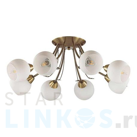 Купить Потолочная люстра Lumion Comfi Tula 5265/8C за 6 000 руб. в Туле фото 2 Купить с доставкой Потолочная люстра Lumion Comfi Tula 5265/8C в Туле фото 2