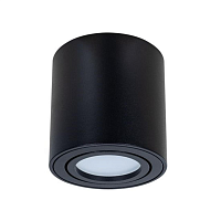Купить Потолочный светильник Arte Lamp Beid A1513PL-1BK в Туле