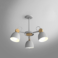 Купить Подвесная люстра Imperium Loft Rolla 101991-26 в Туле