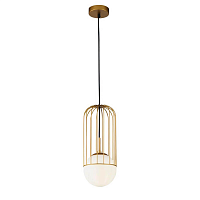 Купить Подвесной светильник Maytoni Telford P362PL-01G в Туле