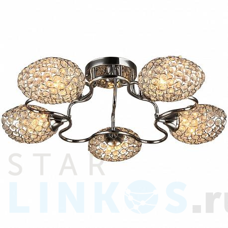 Купить Потолочная люстра Hiper Napoli H100-5 за 11 805 руб. в Туле фото 2 Купить с доставкой Потолочная люстра Hiper Napoli H100-5 в Туле фото 2