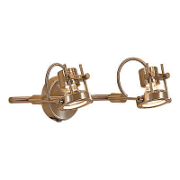 Купить Спот Citilux Терминатор CL515621 в Туле