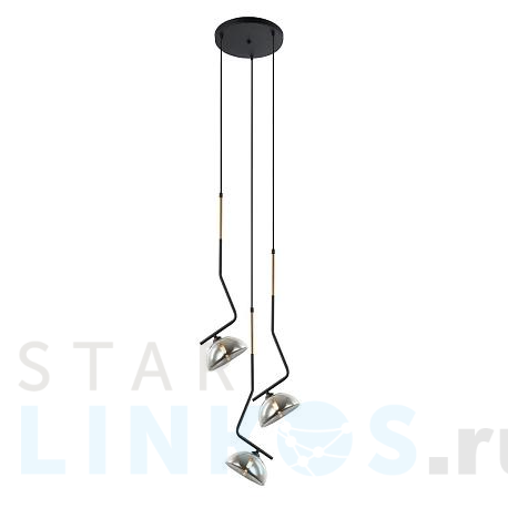 Купить Подвесная люстра Gerhort G51215/3BK+AB SM за 9 900 руб. в Туле фото 2 Купить с доставкой Подвесная люстра Gerhort G51215/3BK+AB SM в Туле фото 2