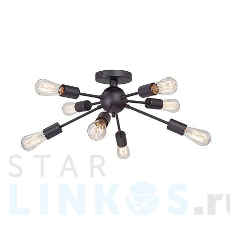 Купить Потолочная люстра Vitaluce V3763-1/8PL за 7 680 руб. в Туле фото 2 Купить с доставкой Потолочная люстра Vitaluce V3763-1/8PL в Туле фото 2