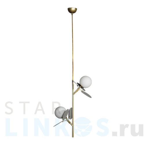 Купить с доставкой Подвесная люстра Loft IT Matisse 10008/2P Grey в Туле