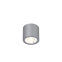 Купить Потолочный светодиодный светильник Favourite Deorsum 2808-1C в Туле