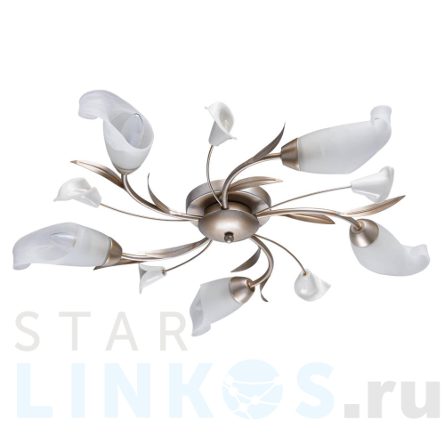 Купить Потолочная люстра MW-Light Восторг 19 242016205 за 13 970 руб. в Туле Купить с доставкой Потолочная люстра MW-Light Восторг 19 242016205 в Туле