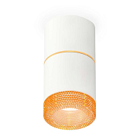 Купить Комплект потолочного светильника Ambrella light Techno Spot XS (C7401, A2072, C7401, N7195) XS7401202 в Туле
