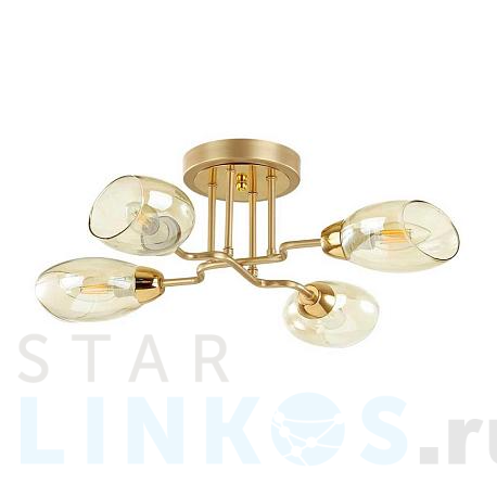 Купить Потолочная люстра Lumion Moderni Lacie 4536/4C за 4 000 руб. в Туле фото 2 Купить с доставкой Потолочная люстра Lumion Moderni Lacie 4536/4C в Туле фото 2