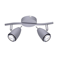 Купить Спот Arte Lamp Regista A1966AP-2GY в Туле