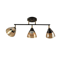 Купить Потолочный светильник Hiper Rafaelo H193-3 в Туле