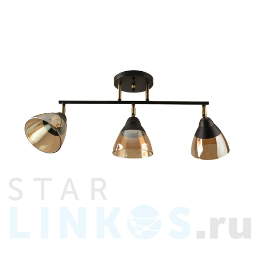 Купить Потолочный светильник Hiper Rafaelo H193-3 за 4 007 руб. в Туле Купить с доставкой Потолочный светильник Hiper Rafaelo H193-3 в Туле