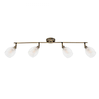 Купить Спот Arte Lamp Biham A3184PL-4AB в Туле