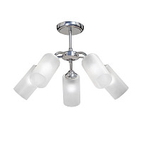 Купить Потолочная люстра Vitaluce V3813-9/5PL в Туле