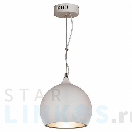 Купить Подвесной светильник Lussole Loft GRLSN-6126-01 за 10 547 руб. в Туле фото 2 Купить с доставкой Подвесной светильник Lussole Loft GRLSN-6126-01 в Туле фото 2